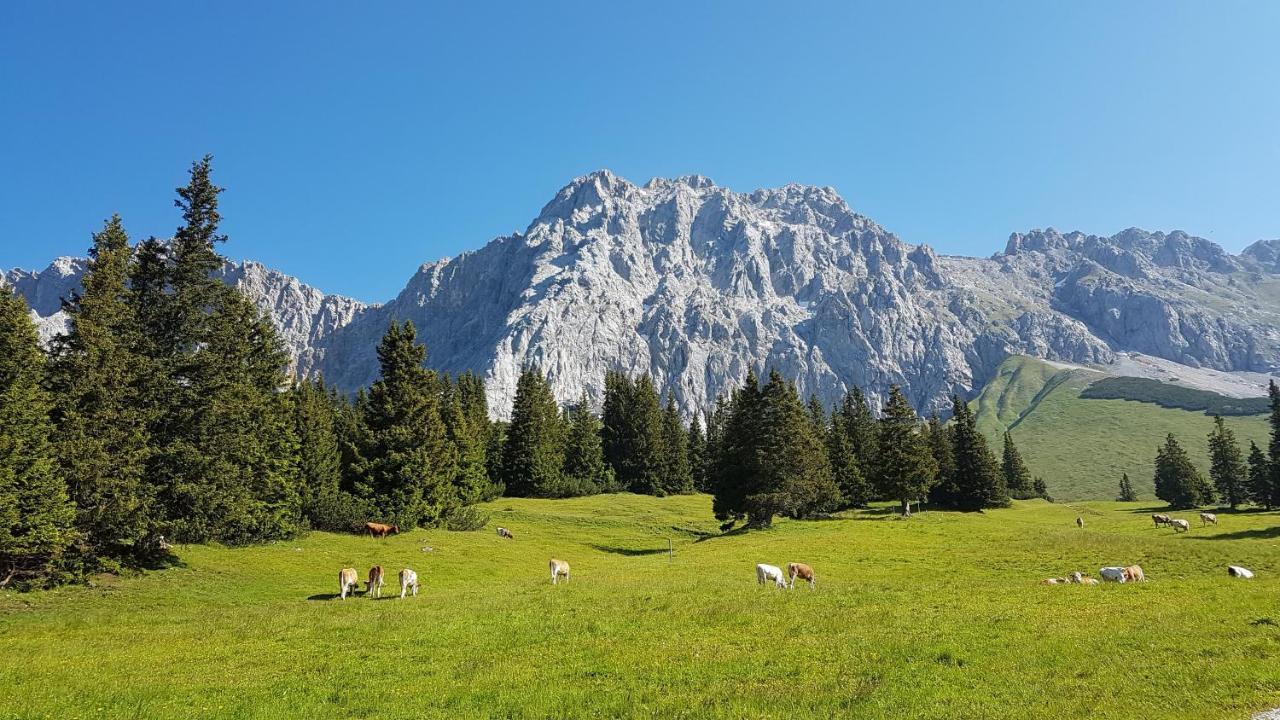 Ferienhaus Villa Alpenpanorama Ohlstadt Eksteriør billede