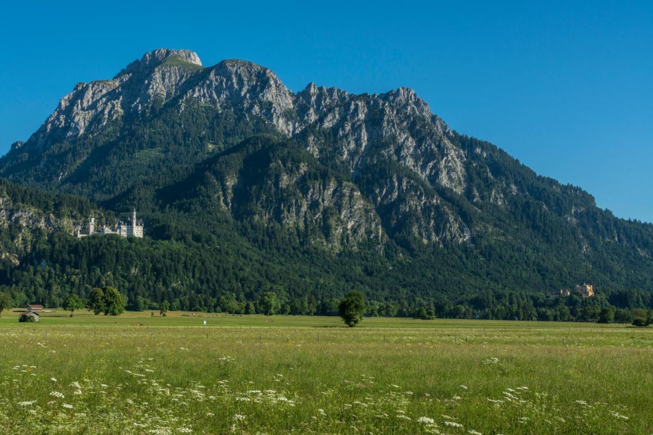 Ferienhaus Villa Alpenpanorama Ohlstadt Eksteriør billede